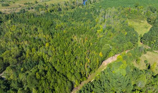 Photo #13 of SOLD property in Lot-8, Off Wilson Road, Providence, NC 16.6 acres