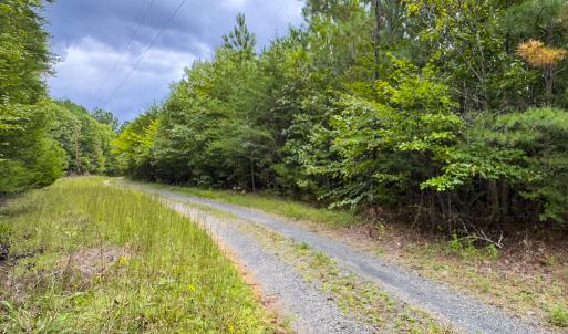 Photo #15 of SOLD property in Lot-8, Off Wilson Road, Providence, NC 16.6 acres