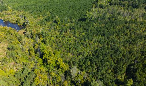 Photo #17 of SOLD property in Lot-8, Off Wilson Road, Providence, NC 16.6 acres