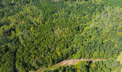 Photo #19 of SOLD property in Lot-8, Off Wilson Road, Providence, NC 16.6 acres