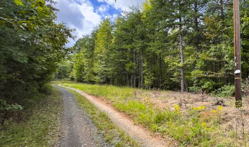 Photo #21 of SOLD property in Lot-8, Off Wilson Road, Providence, NC 16.6 acres