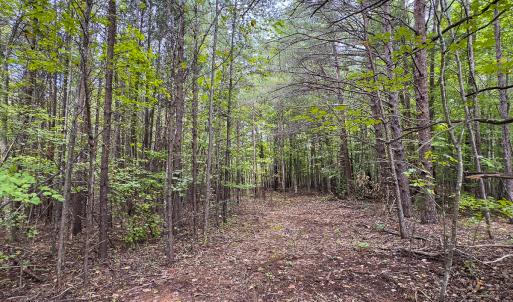 Photo #22 of SOLD property in Lot-8, Off Wilson Road, Providence, NC 16.6 acres
