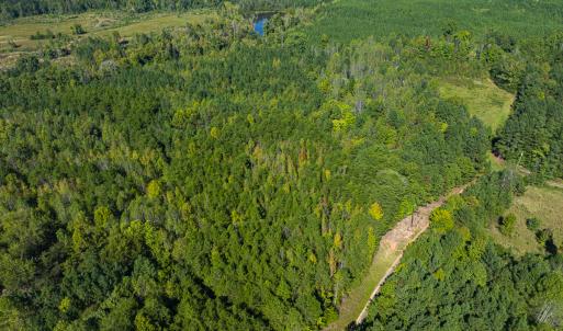 Photo #23 of SOLD property in Lot-8, Off Wilson Road, Providence, NC 16.6 acres