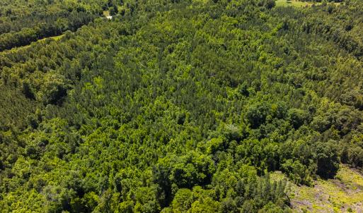 Photo #25 of SOLD property in Lot-8, Off Wilson Road, Providence, NC 16.6 acres