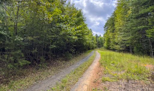 Photo #27 of SOLD property in Lot-8, Off Wilson Road, Providence, NC 16.6 acres