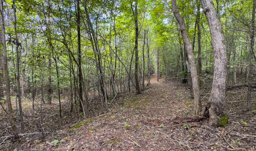 Photo #28 of SOLD property in Lot-8, Off Wilson Road, Providence, NC 16.6 acres