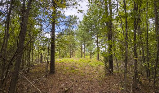 Photo #34 of SOLD property in Lot-8, Off Wilson Road, Providence, NC 16.6 acres