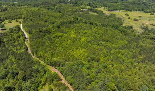 Photo #36 of SOLD property in Lot-8, Off Wilson Road, Providence, NC 16.6 acres