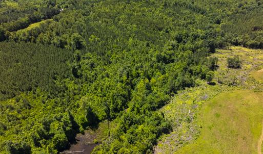Photo #38 of SOLD property in Lot-8, Off Wilson Road, Providence, NC 16.6 acres