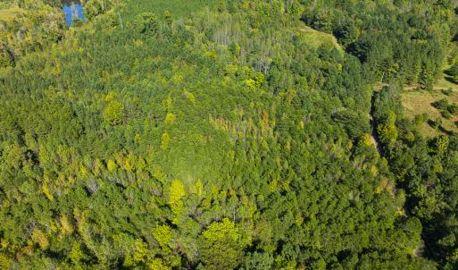Photo #39 of SOLD property in Lot-8, Off Wilson Road, Providence, NC 16.6 acres