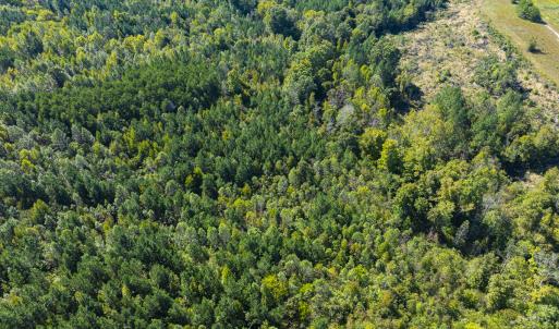 Photo #40 of SOLD property in Lot-8, Off Wilson Road, Providence, NC 16.6 acres