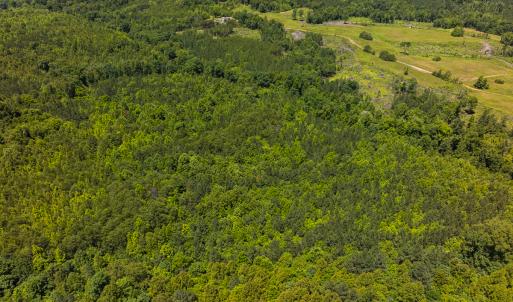 Photo #41 of SOLD property in Lot-8, Off Wilson Road, Providence, NC 16.6 acres