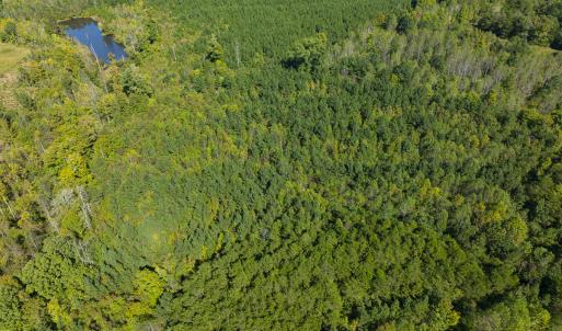 Photo #42 of SOLD property in Lot-8, Off Wilson Road, Providence, NC 16.6 acres