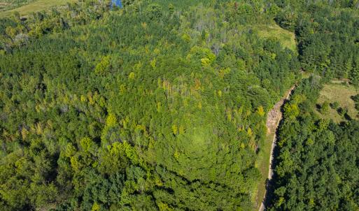 Photo #43 of SOLD property in Lot-8, Off Wilson Road, Providence, NC 16.6 acres
