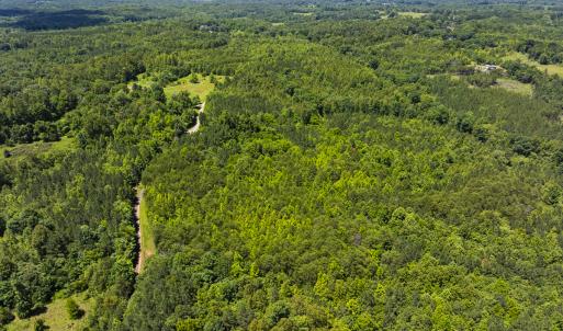 Photo #44 of SOLD property in Lot-8, Off Wilson Road, Providence, NC 16.6 acres