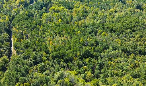 Photo #46 of SOLD property in Lot-8, Off Wilson Road, Providence, NC 16.6 acres