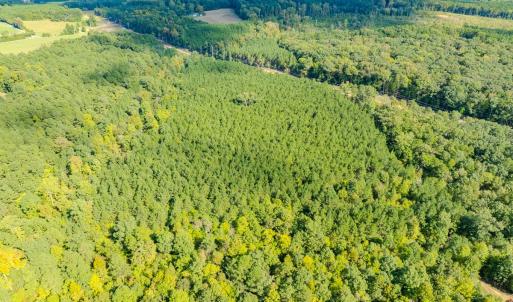 Photo #3 of SOLD property in Off Underwood Rd, Carthage, NC 32.9 acres
