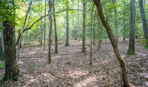 Photo #6 of SOLD property in Off Underwood Rd, Carthage, NC 32.9 acres