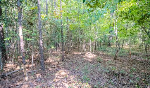 Photo #7 of SOLD property in Off Underwood Rd, Carthage, NC 32.9 acres