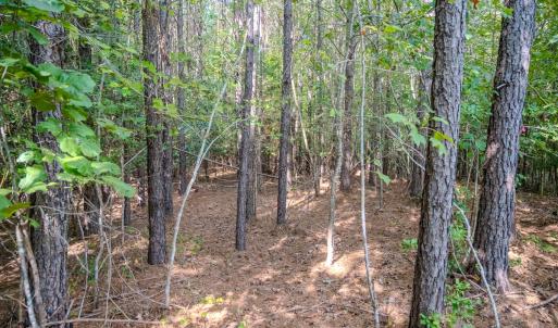 Photo #8 of SOLD property in Off Underwood Rd, Carthage, NC 32.9 acres