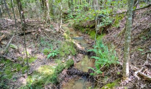 Photo #10 of SOLD property in Off Underwood Rd, Carthage, NC 32.9 acres