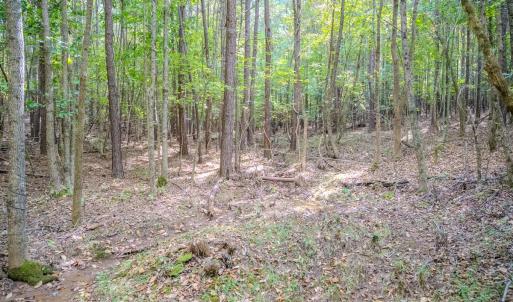 Photo #12 of SOLD property in Off Underwood Rd, Carthage, NC 32.9 acres