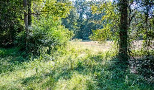 Photo #14 of SOLD property in Off Underwood Rd, Carthage, NC 32.9 acres