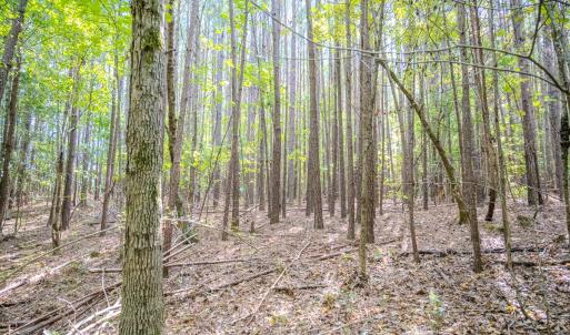 Photo #16 of SOLD property in Off Underwood Rd, Carthage, NC 32.9 acres