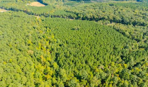 Photo #17 of SOLD property in Off Underwood Rd, Carthage, NC 32.9 acres