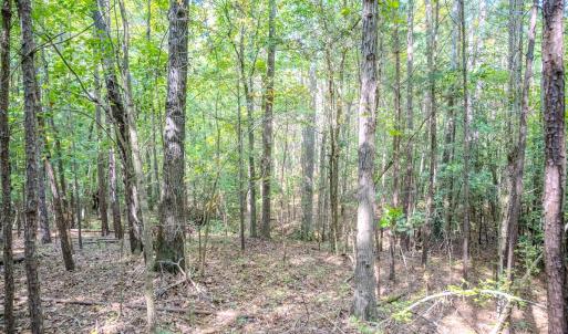 Photo #18 of SOLD property in Off Underwood Rd, Carthage, NC 32.9 acres