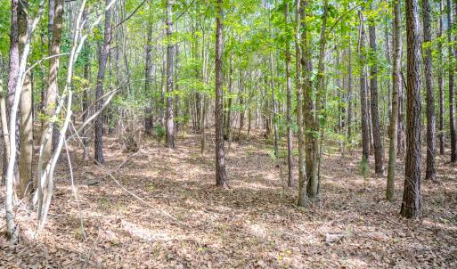 Photo #20 of SOLD property in Off Underwood Rd, Carthage, NC 32.9 acres