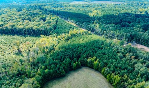 Photo #21 of SOLD property in Off Underwood Rd, Carthage, NC 32.9 acres