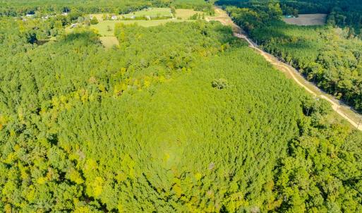 Photo #22 of SOLD property in Off Underwood Rd, Carthage, NC 32.9 acres