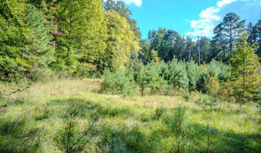 Photo #7 of SOLD property in 3285 Underwood Rd, Carthage, NC 2.1 acres