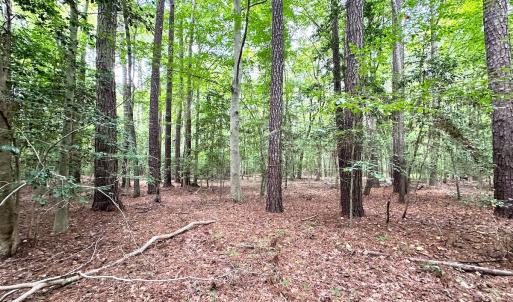 Photo #10 of SOLD property in Off Reynolds Drive, Carrollton, VA 5.0 acres