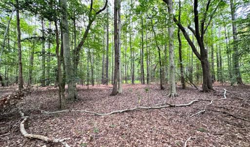 Photo #11 of SOLD property in Off Reynolds Drive, Carrollton, VA 5.0 acres