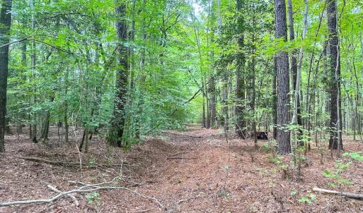 Photo #12 of SOLD property in Off Reynolds Drive, Carrollton, VA 5.0 acres