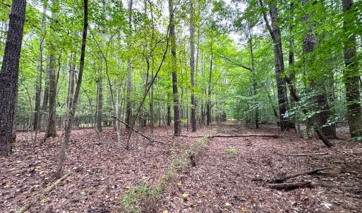 Photo #14 of SOLD property in Off Reynolds Drive, Carrollton, VA 5.0 acres