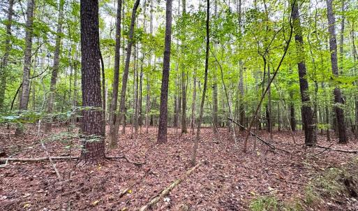 Photo #15 of SOLD property in Off Reynolds Drive, Carrollton, VA 5.0 acres