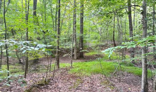 Photo #16 of SOLD property in Off Reynolds Drive, Carrollton, VA 5.0 acres