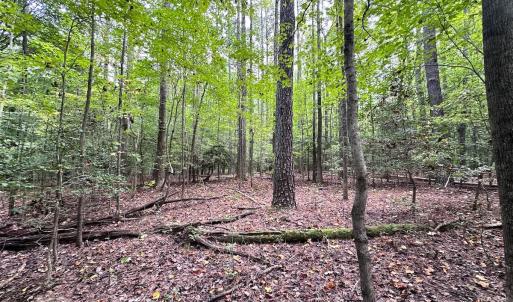 Photo #17 of SOLD property in Off Reynolds Drive, Carrollton, VA 5.0 acres