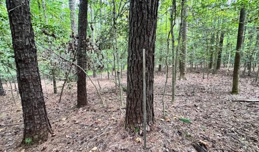 Photo #19 of SOLD property in Off Reynolds Drive, Carrollton, VA 5.0 acres