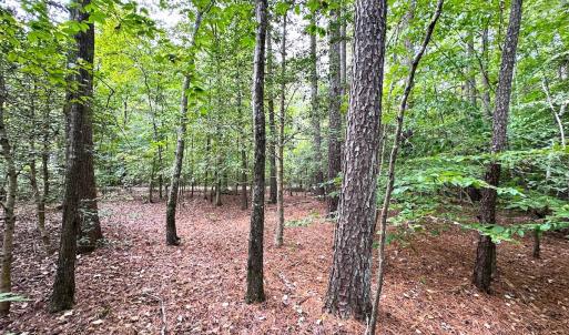 Photo #6 of SOLD property in Off Reynolds Drive, Carrollton, VA 5.0 acres