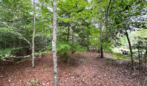 Photo #7 of SOLD property in Off Reynolds Drive, Carrollton, VA 5.0 acres
