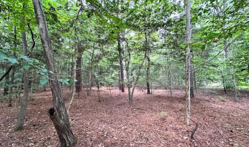 Photo #8 of SOLD property in Off Reynolds Drive, Carrollton, VA 5.0 acres