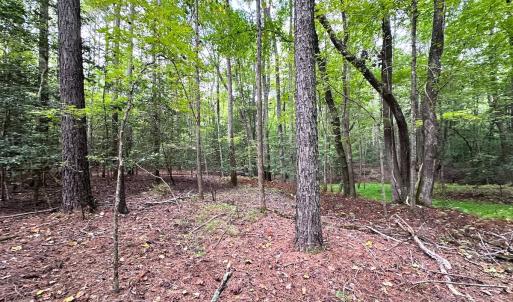 Photo #22 of SOLD property in Off Reynolds Drive, Carrollton, VA 5.0 acres