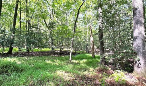 Photo #10 of SOLD property in Off Reynolds Drive, Carrollton, VA 5.1 acres