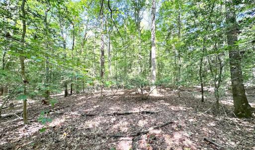 Photo #11 of SOLD property in Off Reynolds Drive, Carrollton, VA 5.1 acres