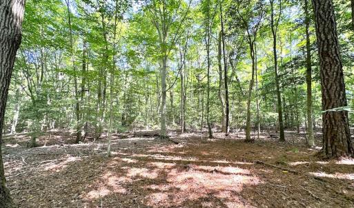 Photo #14 of SOLD property in Off Reynolds Drive, Carrollton, VA 5.1 acres