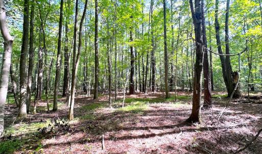 Photo #8 of SOLD property in Off Reynolds Drive, Carrollton, VA 5.1 acres
